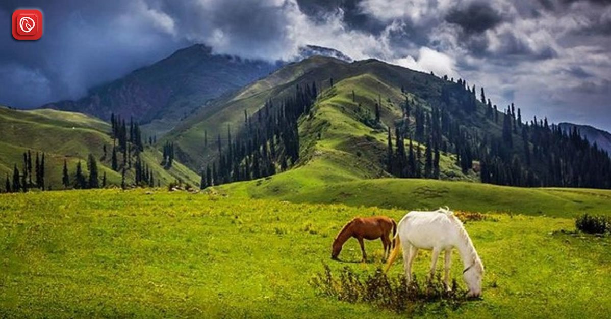Kaghan Valley Landscape